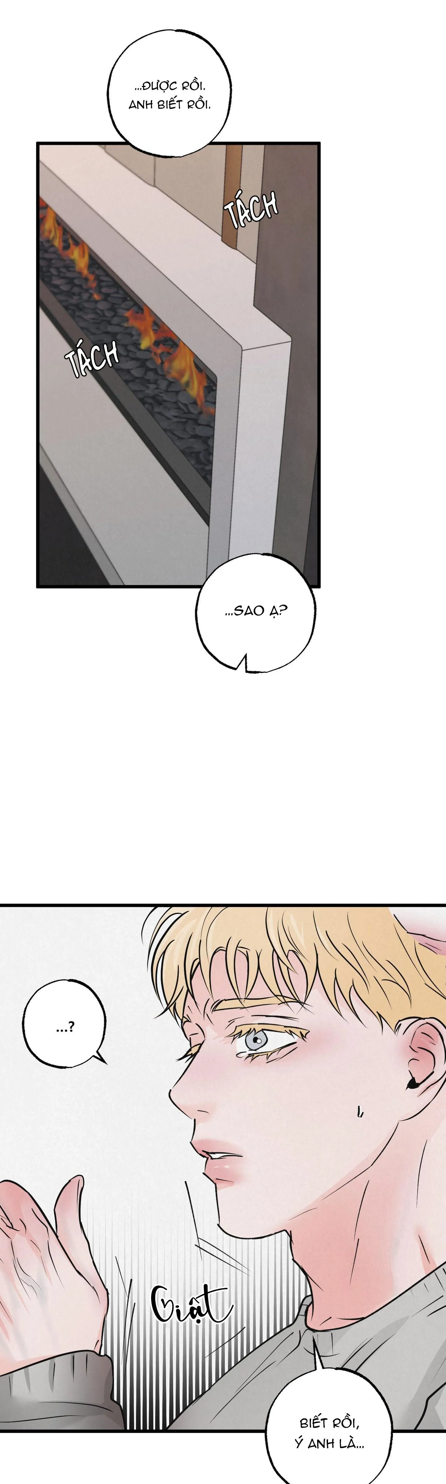 CẶP ĐÔI HOÀN HẢO Chapter 16 Trang 14