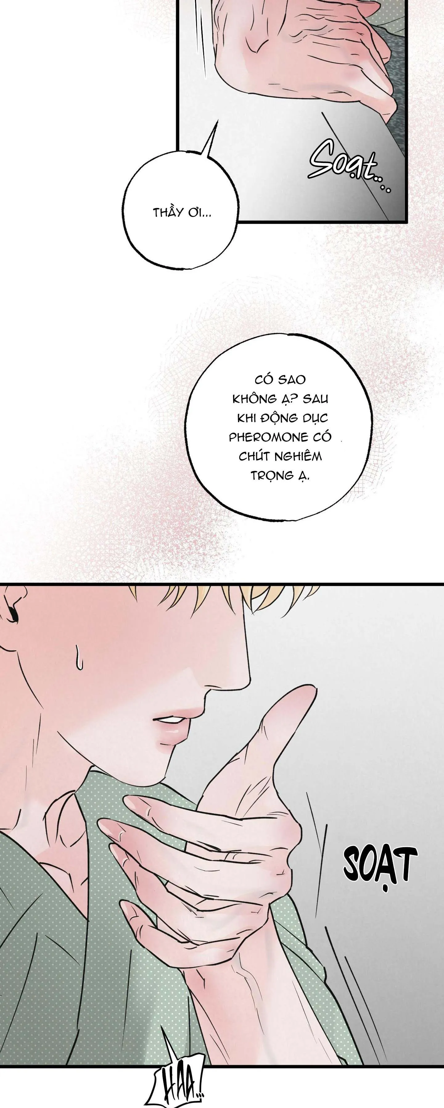 CẶP ĐÔI HOÀN HẢO Chapter 17 Trang 43