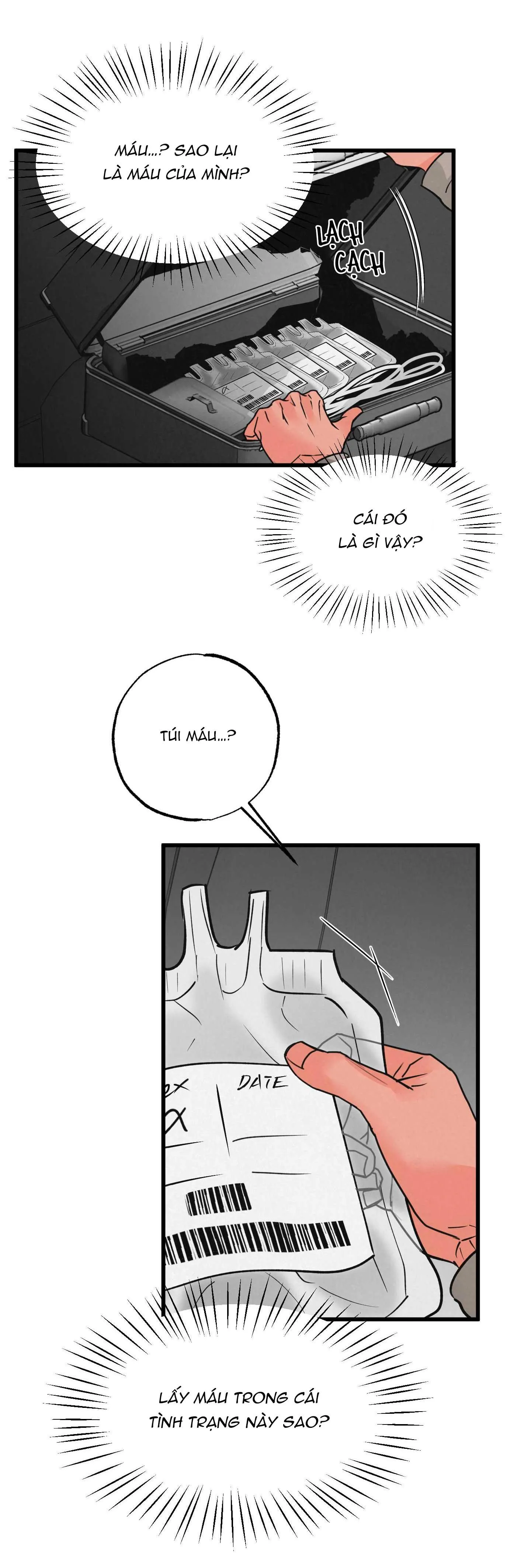 CẶP ĐÔI HOÀN HẢO Chapter 19 Trang 12