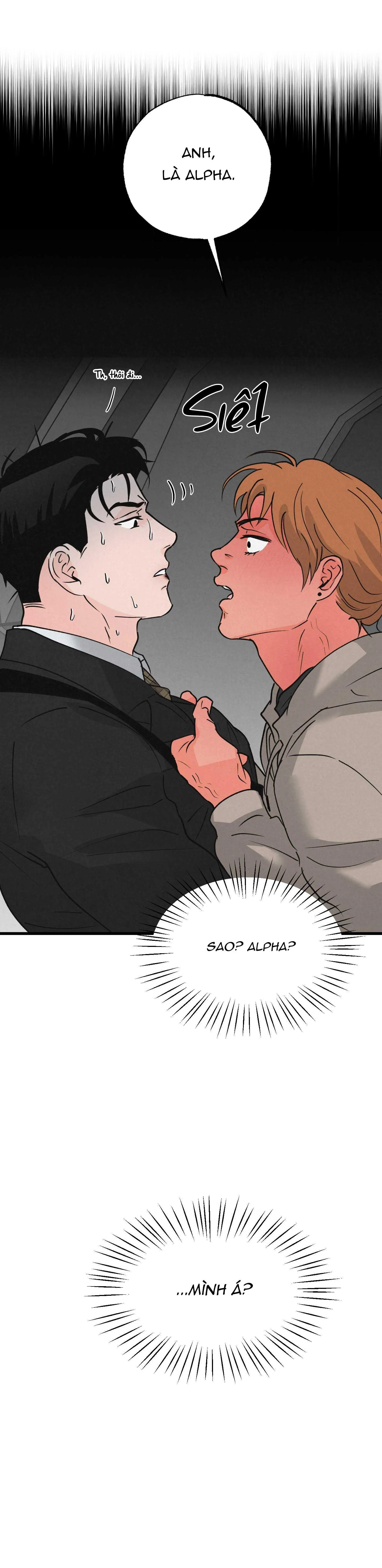 CẶP ĐÔI HOÀN HẢO Chapter 19 Trang 16