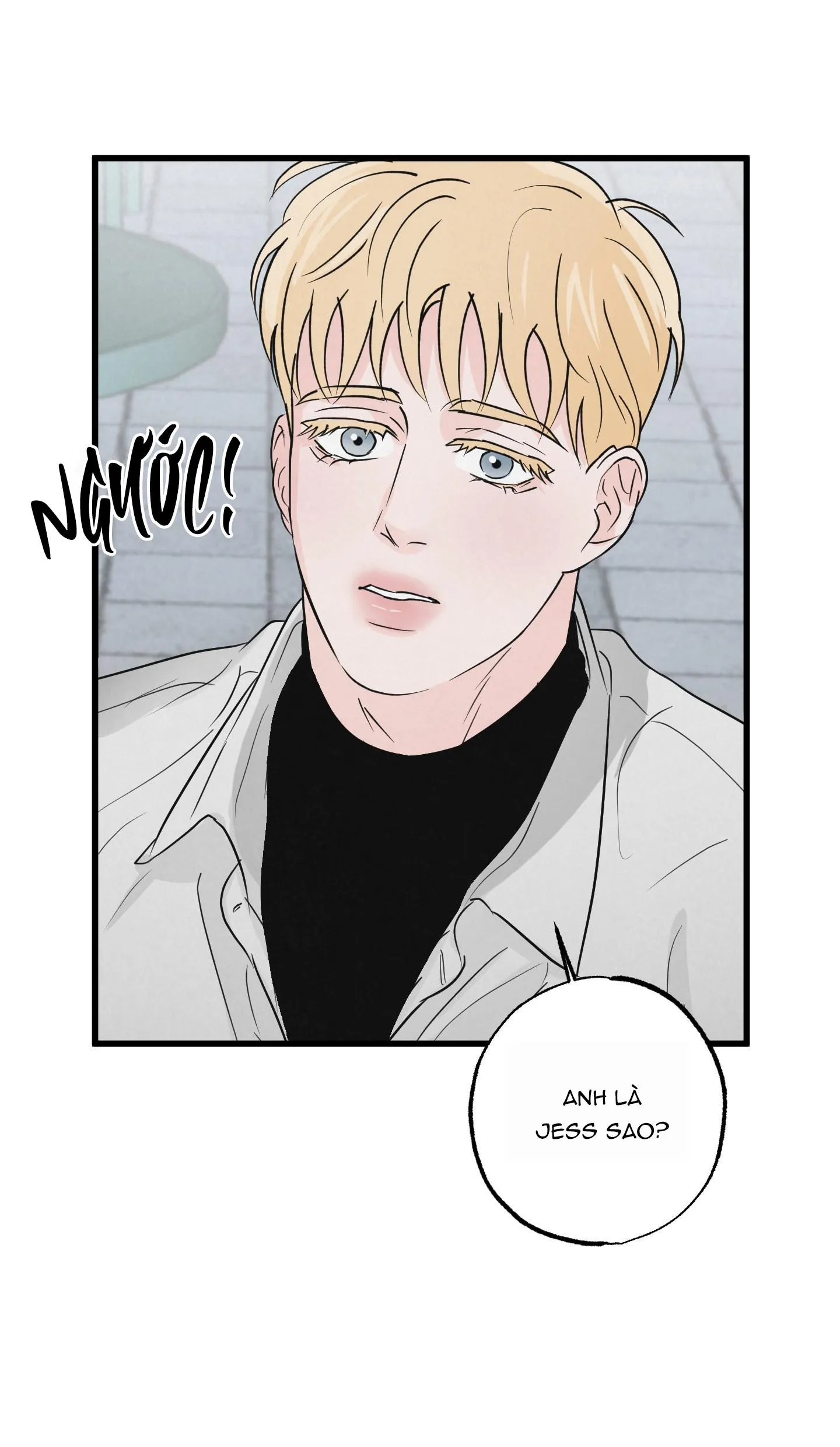 CẶP ĐÔI HOÀN HẢO Chapter 2 Trang 46