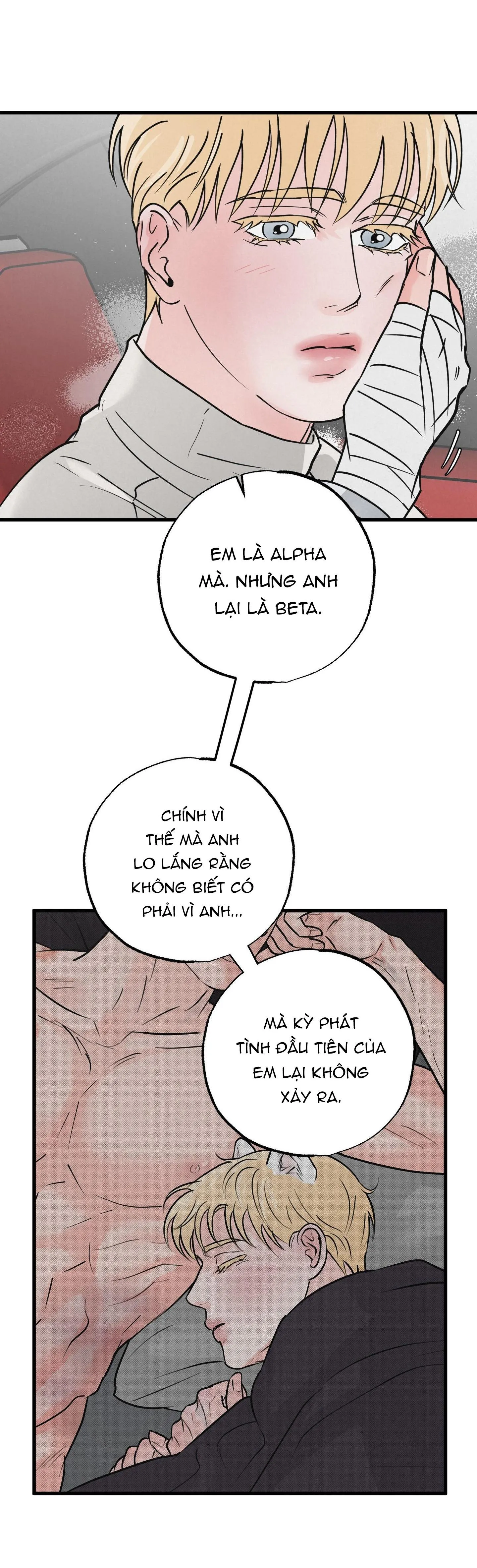 CẶP ĐÔI HOÀN HẢO Chapter 29 Trang 5