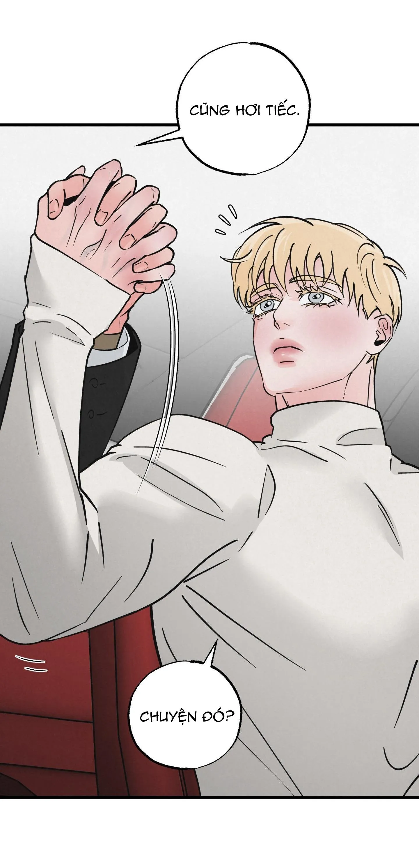 CẶP ĐÔI HOÀN HẢO Chapter 29 Trang 14