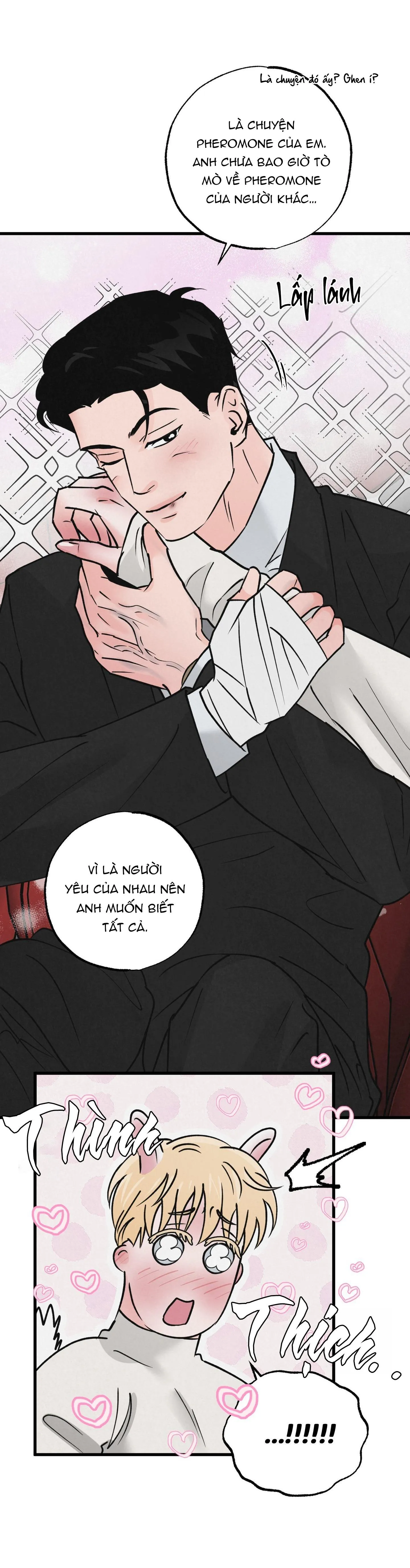 CẶP ĐÔI HOÀN HẢO Chapter 29 Trang 17