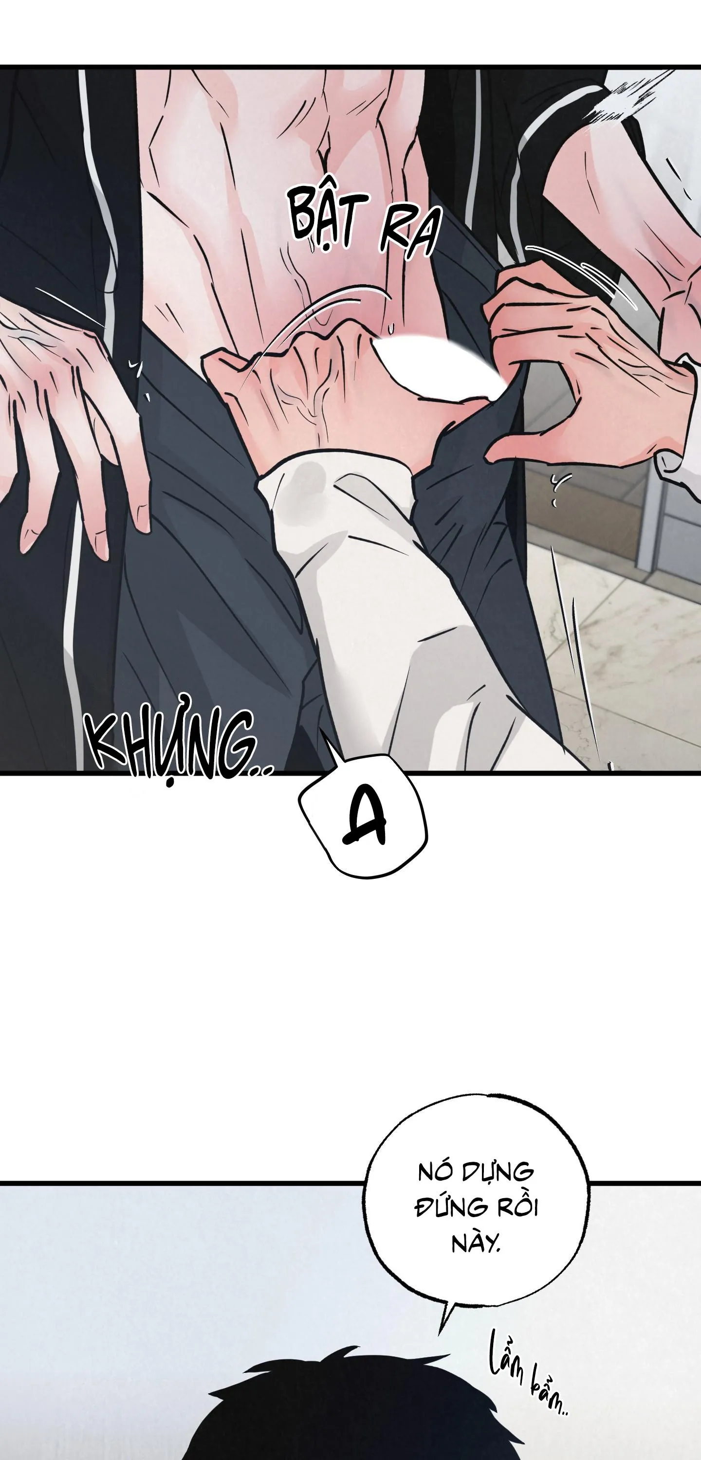 CẶP ĐÔI HOÀN HẢO Chapter 30 Trang 17