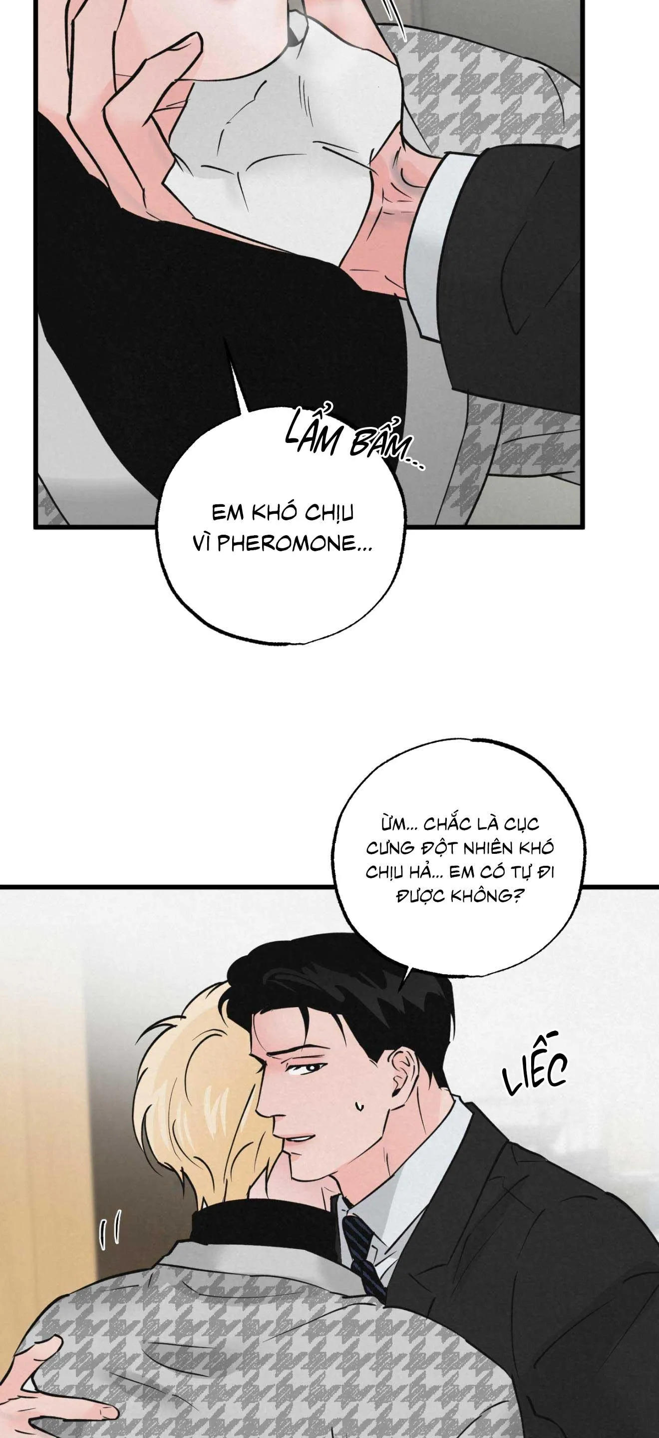 CẶP ĐÔI HOÀN HẢO Chapter 33 Trang 30