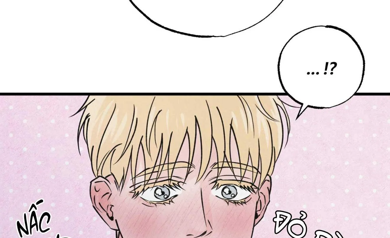 CẶP ĐÔI HOÀN HẢO Chapter 34 Trang 62