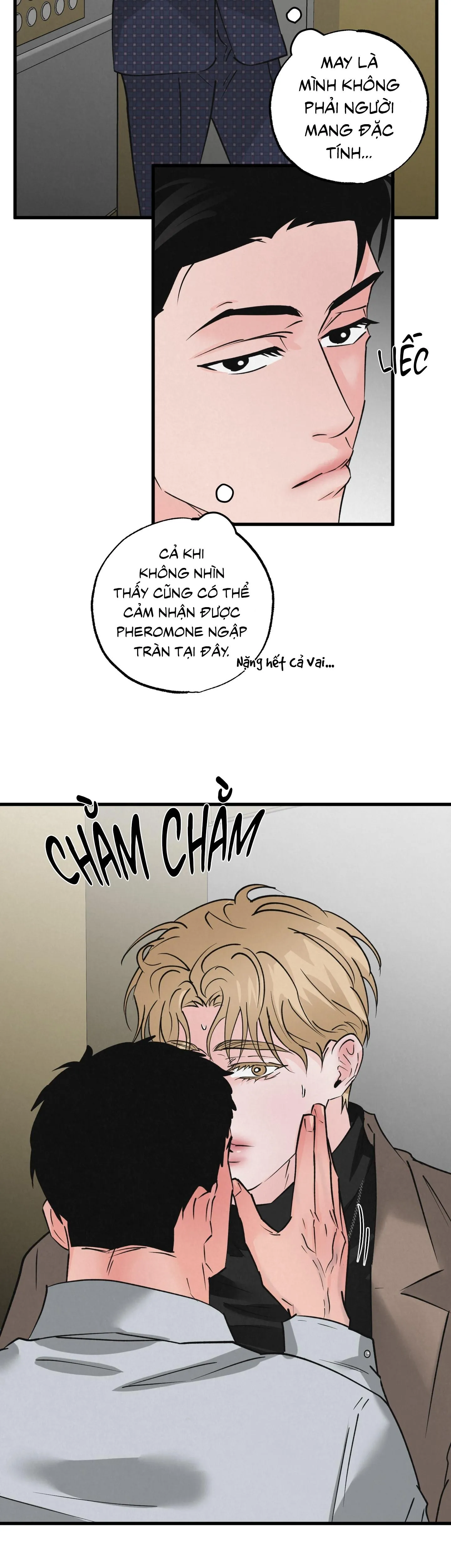 CẶP ĐÔI HOÀN HẢO Chapter 38 Trang 6