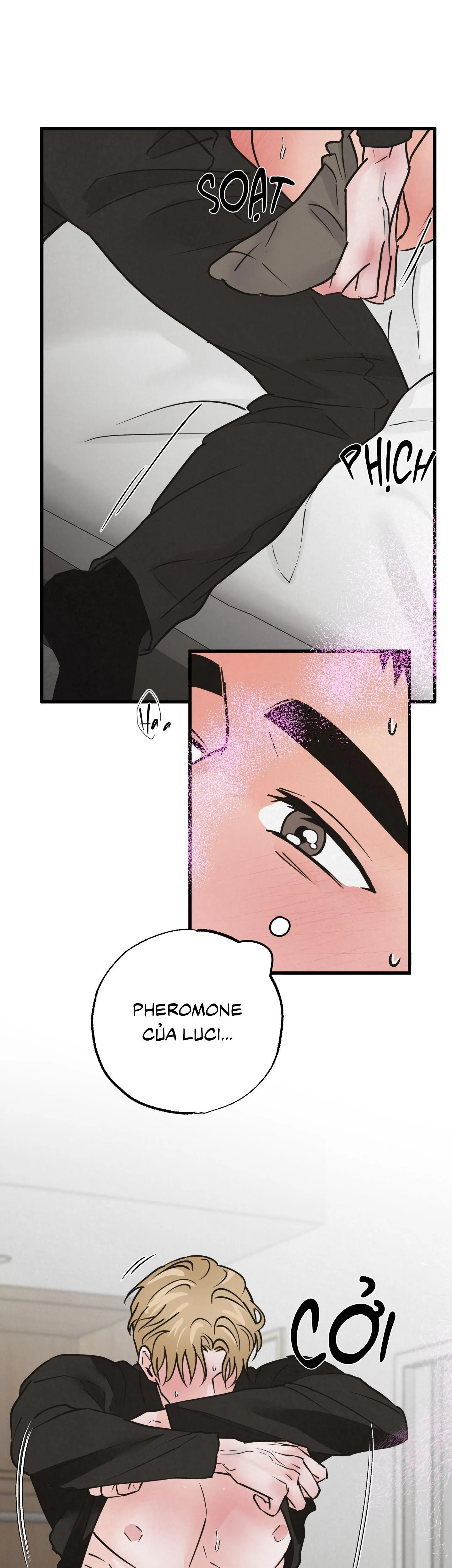 CẶP ĐÔI HOÀN HẢO Chapter 38 Trang 19