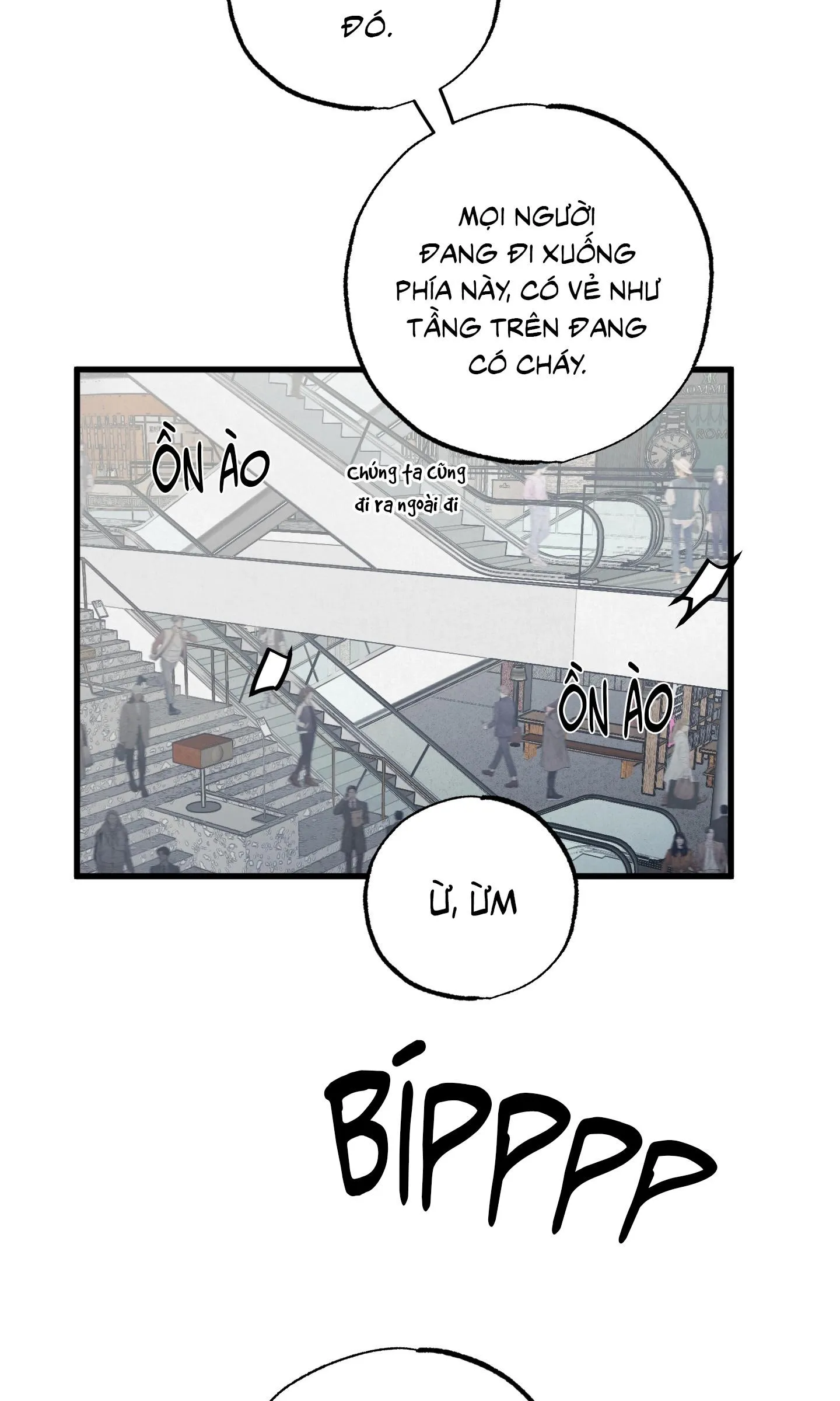 CẶP ĐÔI HOÀN HẢO Chapter 41 Trang 56