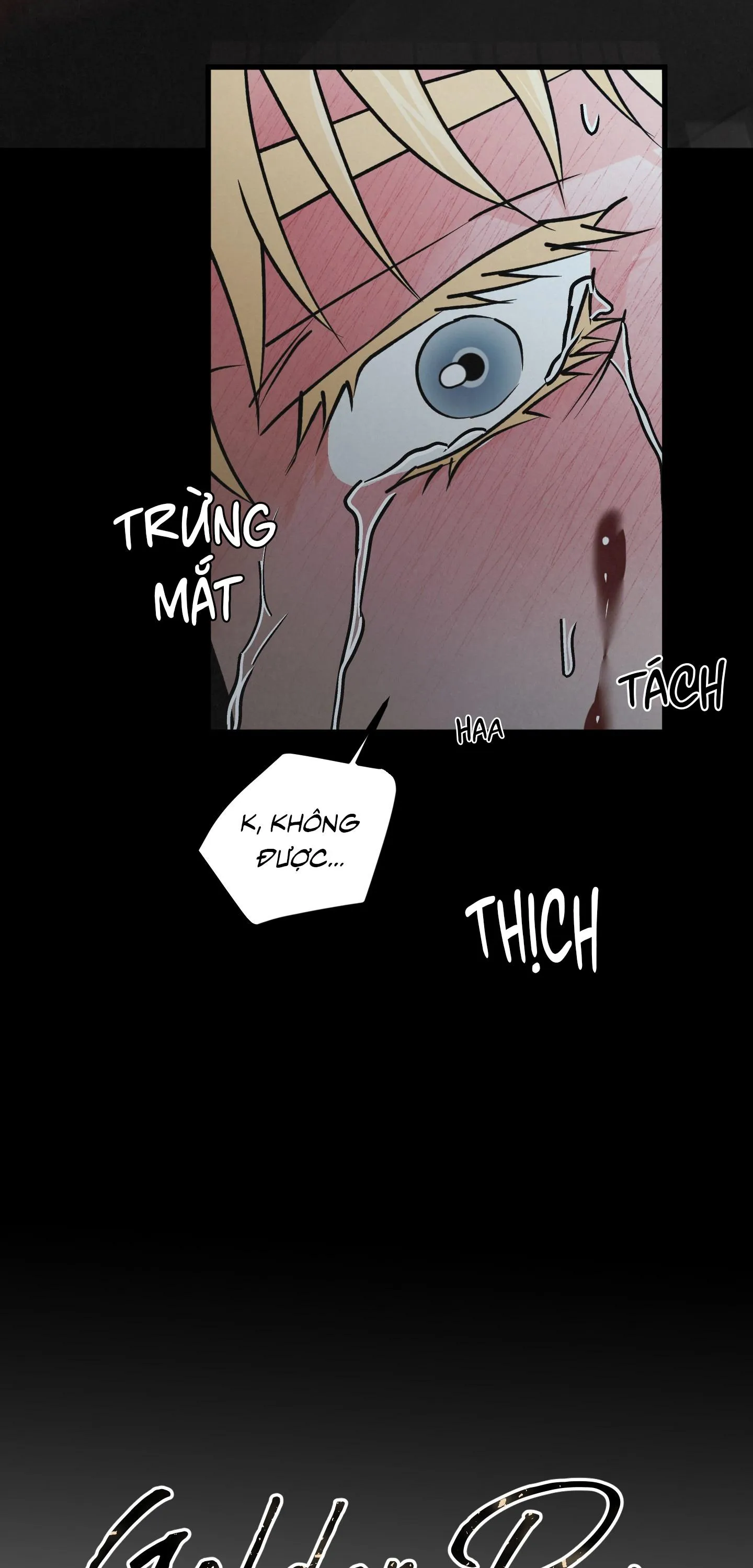 CẶP ĐÔI HOÀN HẢO Chapter 43 Trang 37