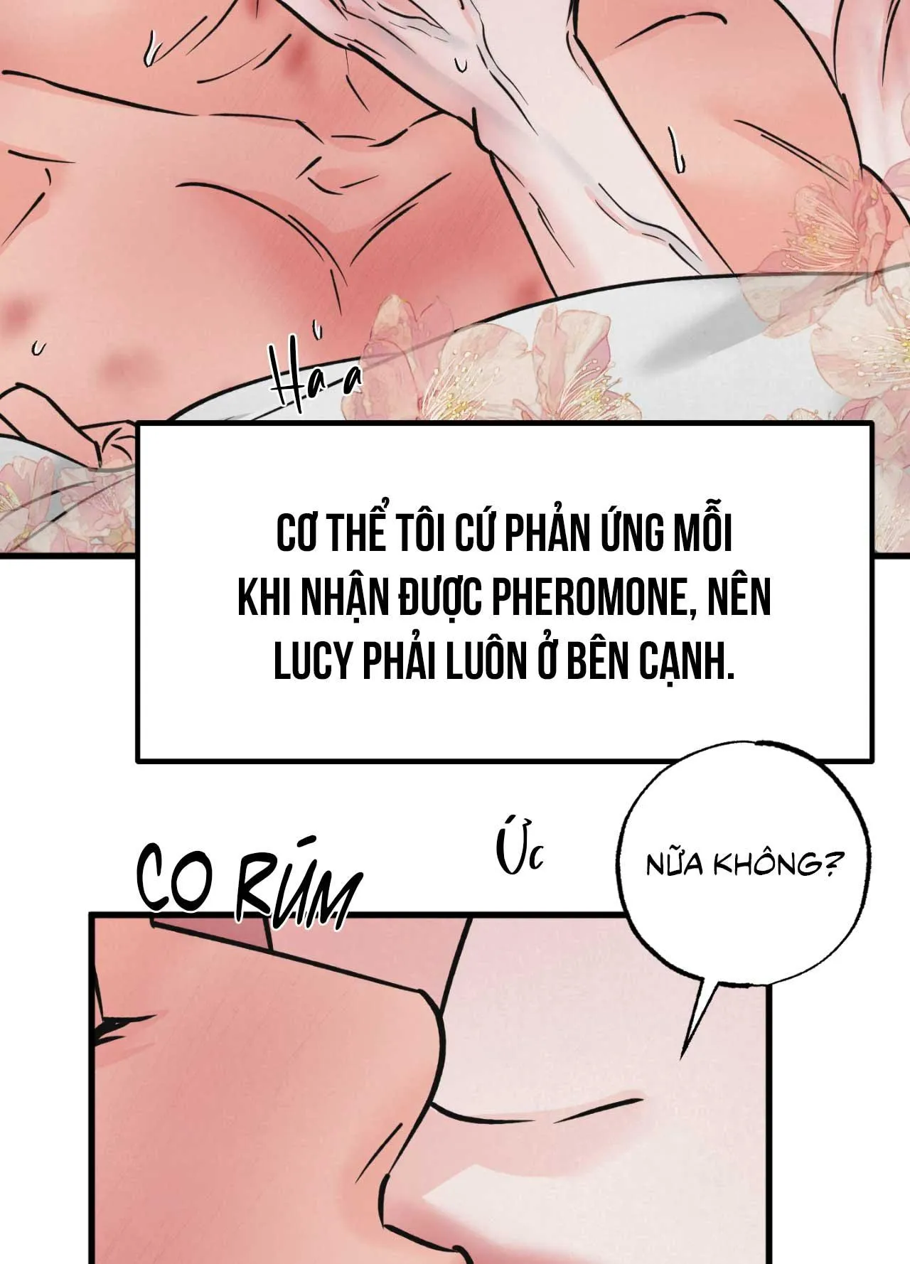 CẶP ĐÔI HOÀN HẢO Chapter 48 Trang 18