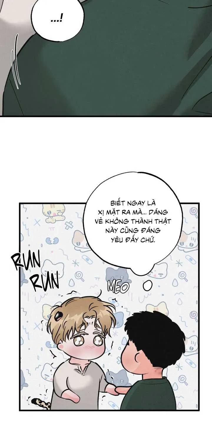 CẶP ĐÔI HOÀN HẢO Chapter 49 Trang 5