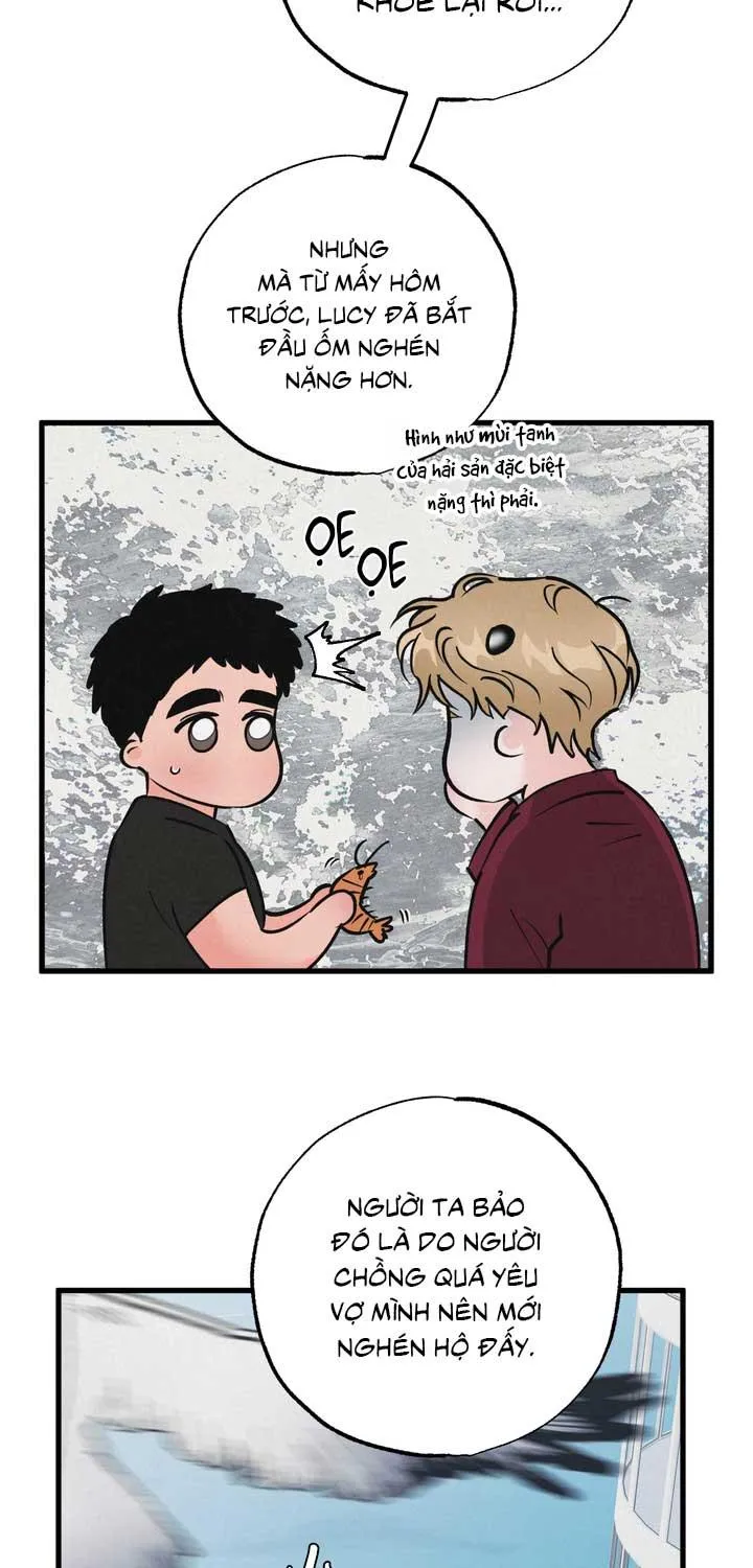 CẶP ĐÔI HOÀN HẢO Chapter 49 Trang 18