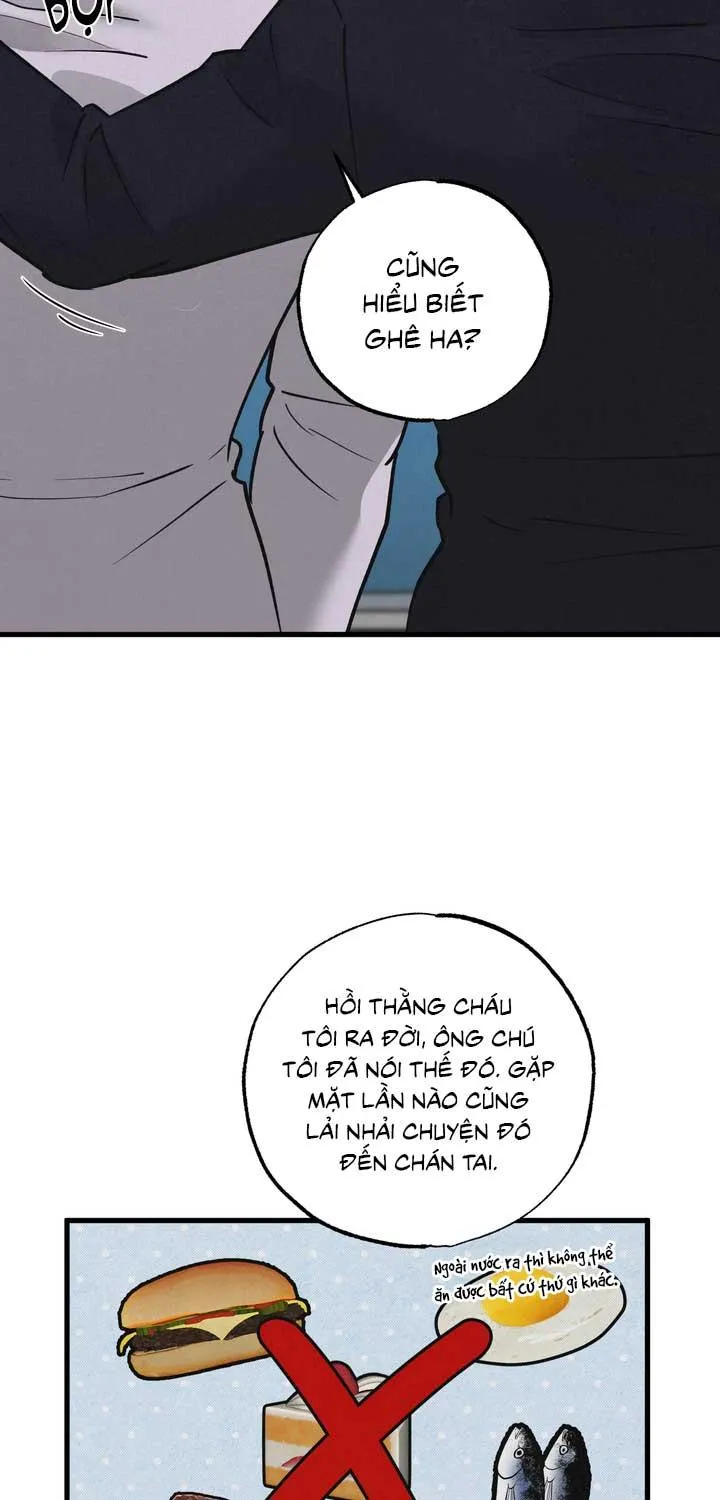 CẶP ĐÔI HOÀN HẢO Chapter 49 Trang 20