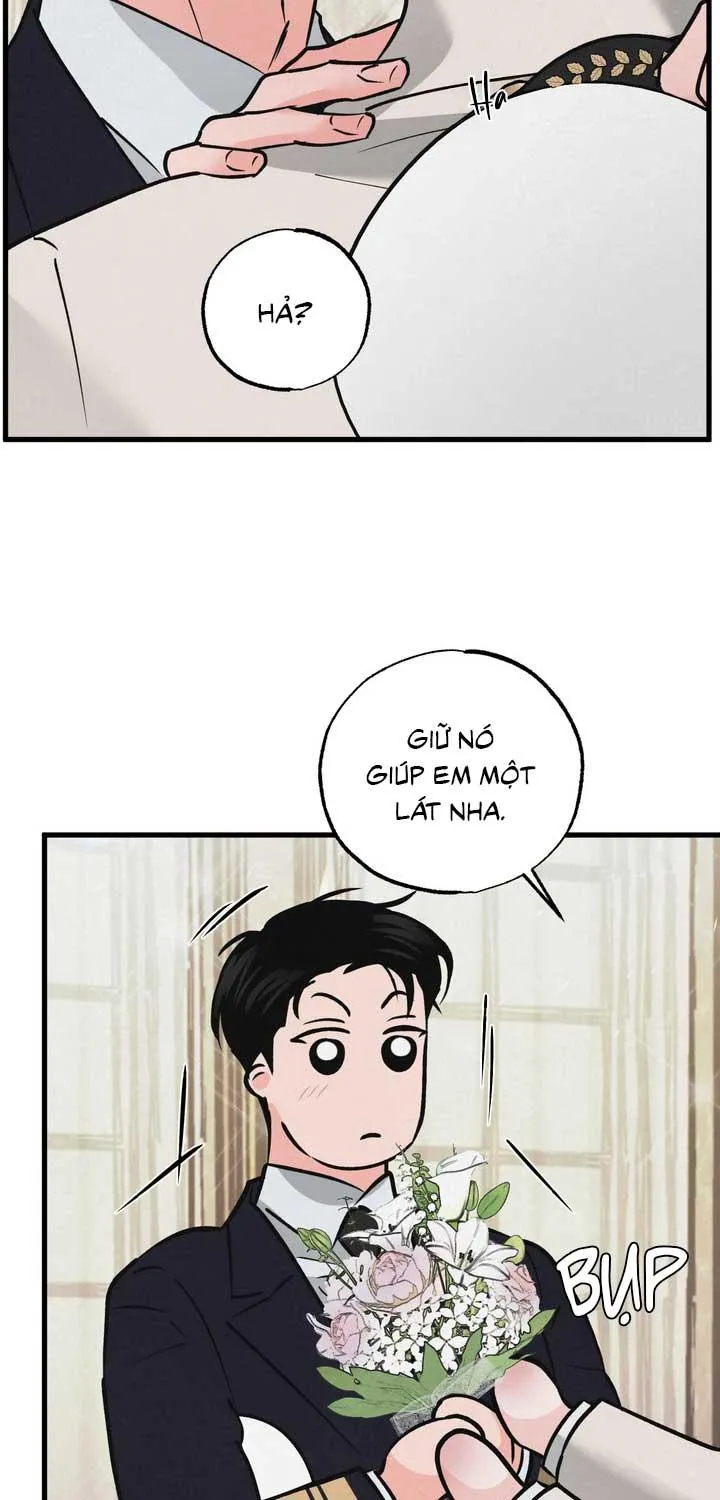 CẶP ĐÔI HOÀN HẢO Chapter 50 Trang 15