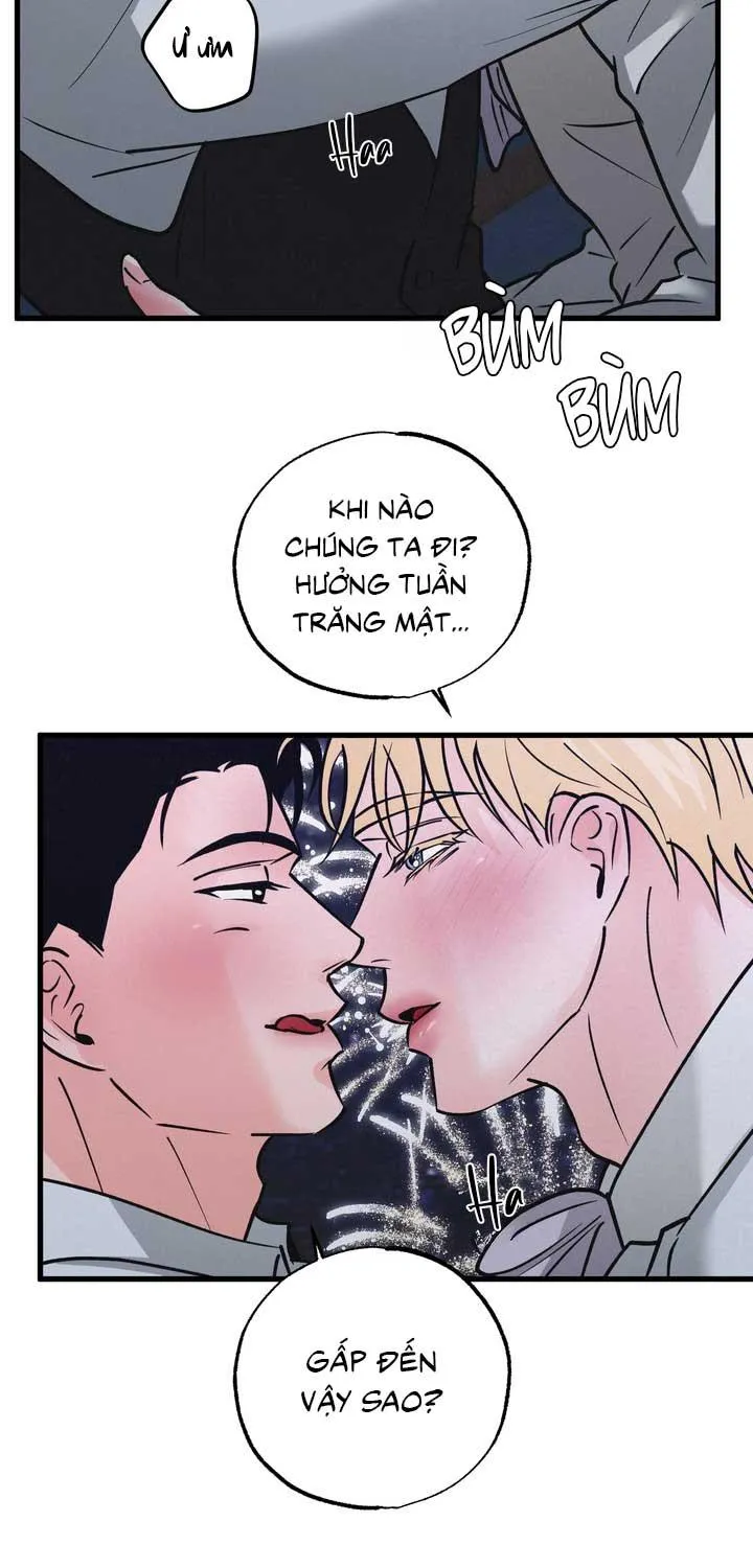 CẶP ĐÔI HOÀN HẢO Chapter 50 Trang 34