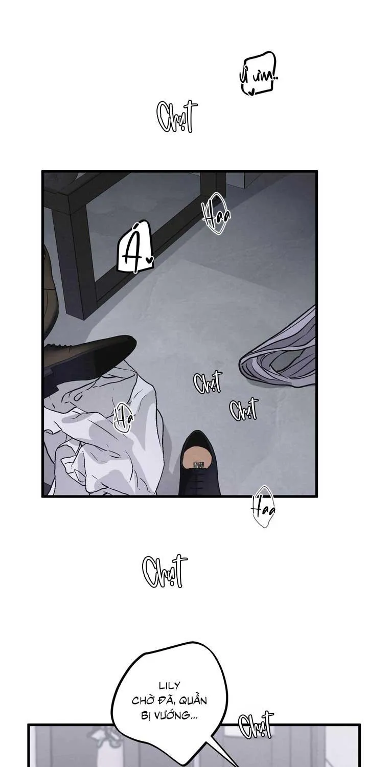 CẶP ĐÔI HOÀN HẢO Chapter 51 Trang 32