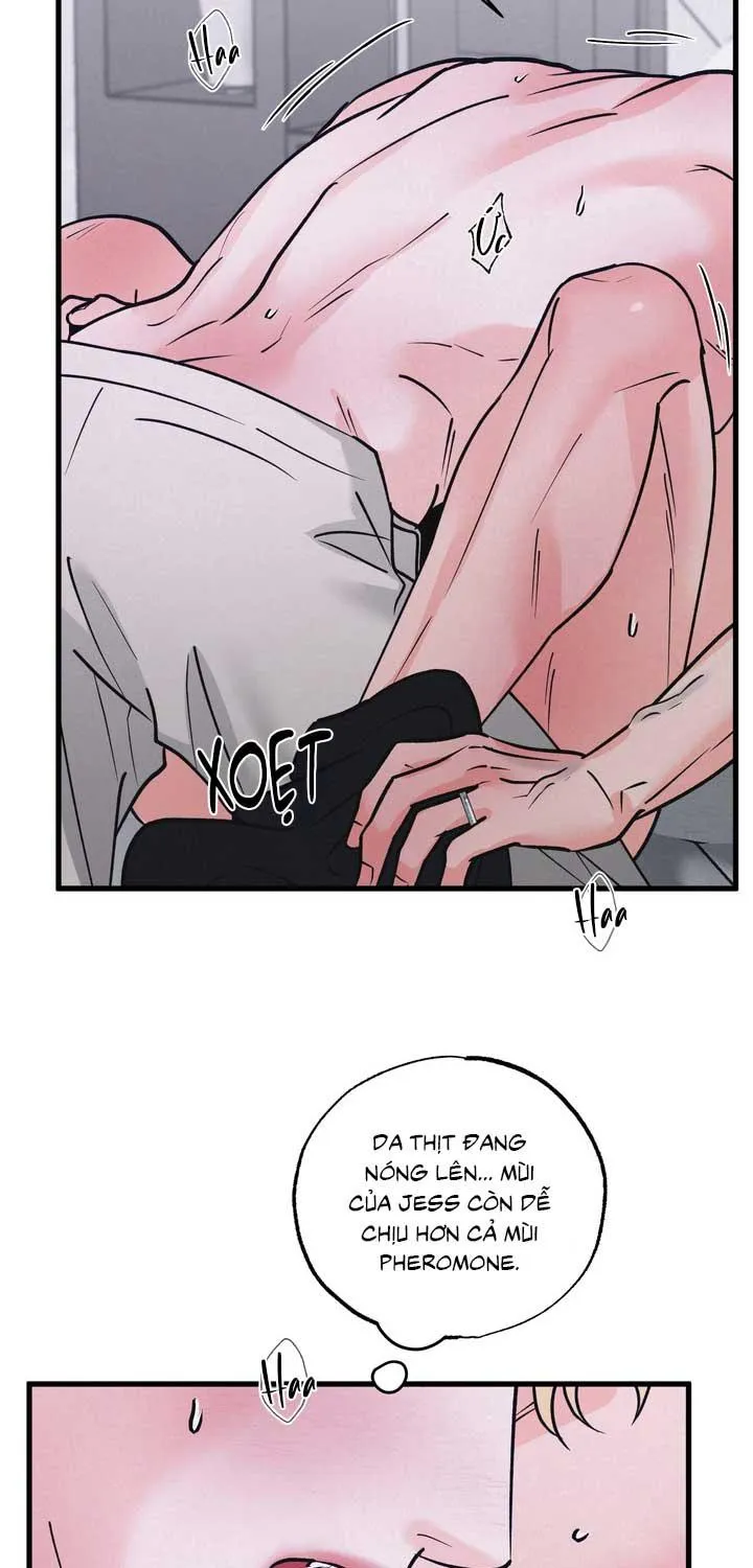 CẶP ĐÔI HOÀN HẢO Chapter 51 Trang 33