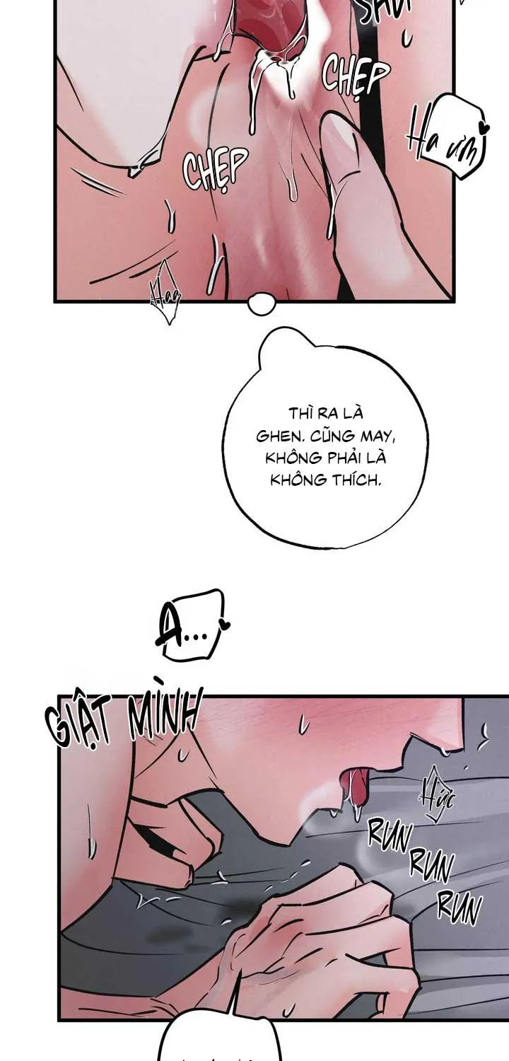 CẶP ĐÔI HOÀN HẢO Chapter 51 Trang 49