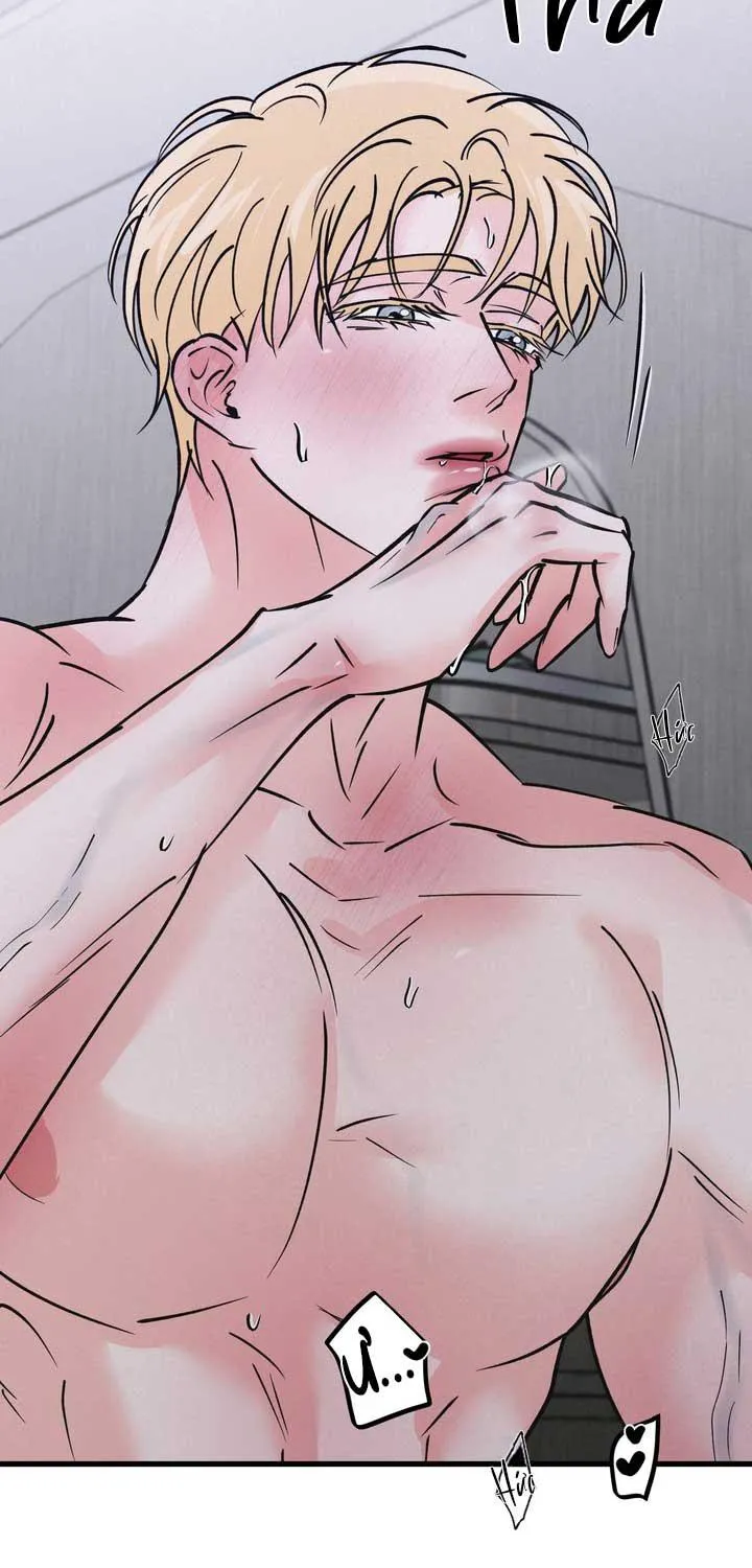 CẶP ĐÔI HOÀN HẢO Chapter 51 Trang 51