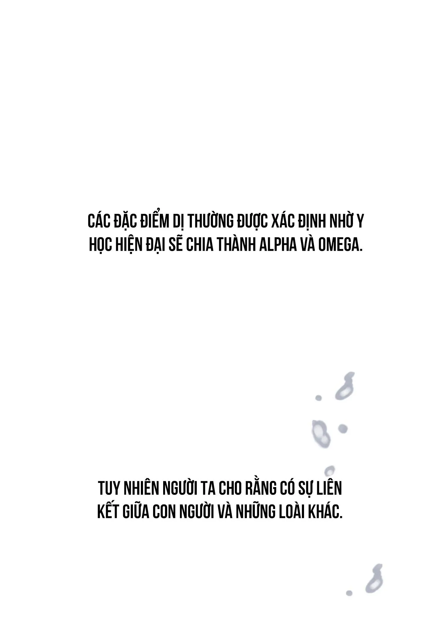 CẶP ĐÔI HOÀN HẢO Chapter 8 Trang 42