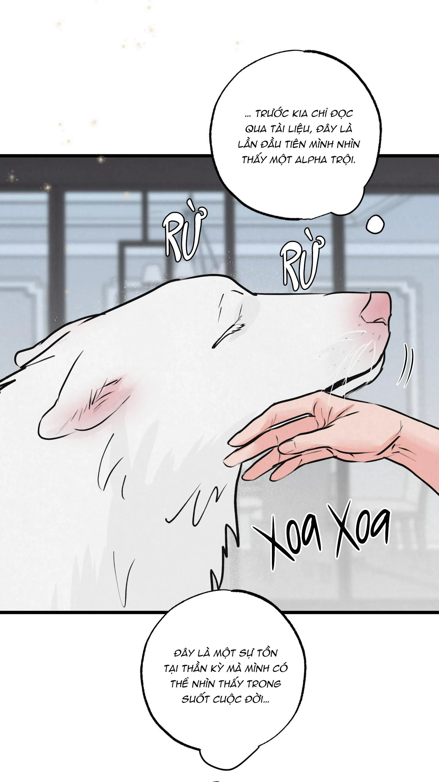 CẶP ĐÔI HOÀN HẢO Chapter 8 Trang 48