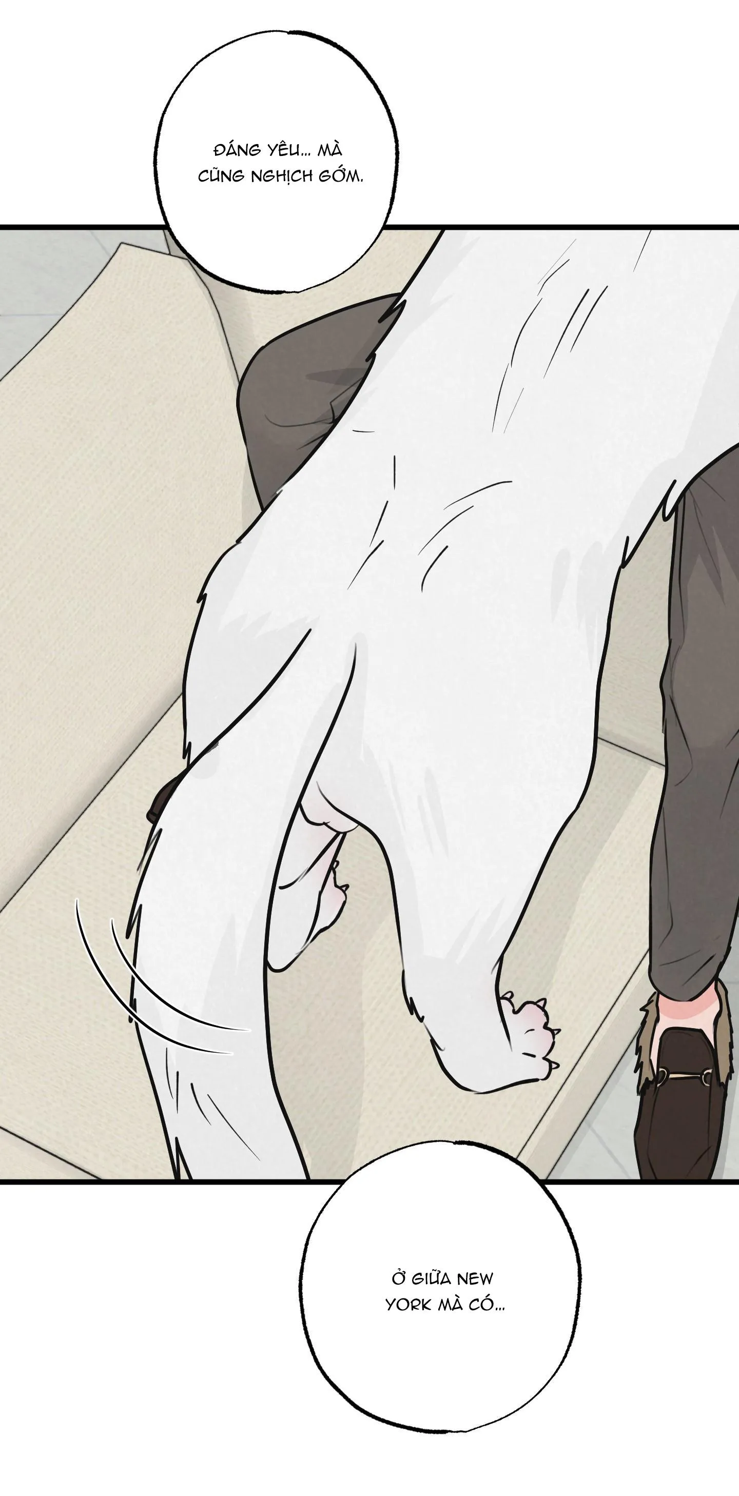 CẶP ĐÔI HOÀN HẢO Chapter 8 Trang 53