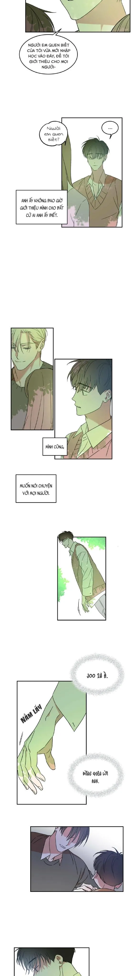 Cấp Trên Chapter 10 Trang 5