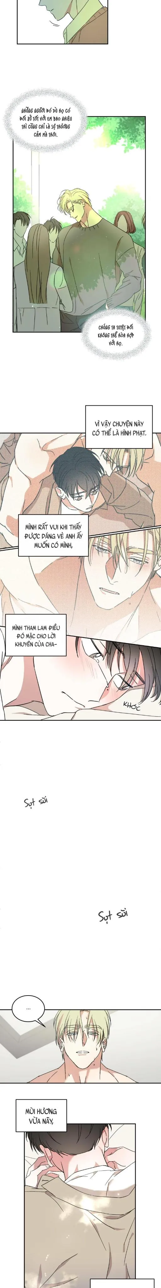 Cấp Trên Chapter 10 Trang 6