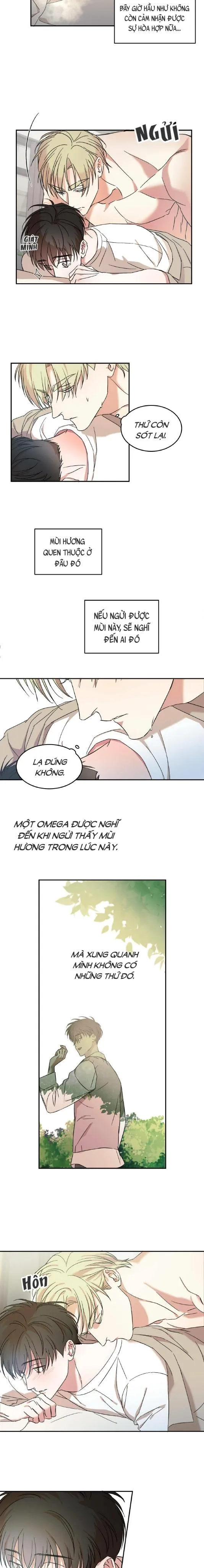 Cấp Trên Chapter 10 Trang 7