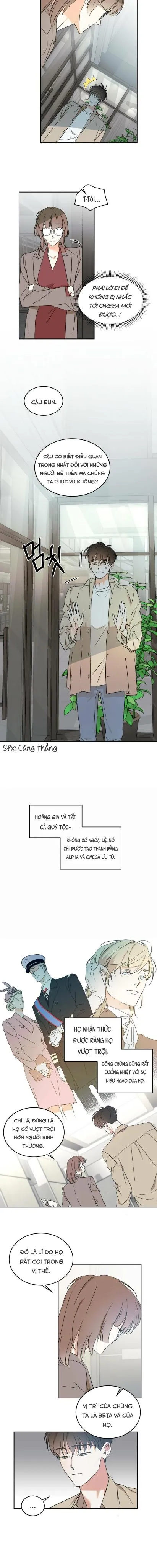 Cấp Trên Chapter 11 Trang 6