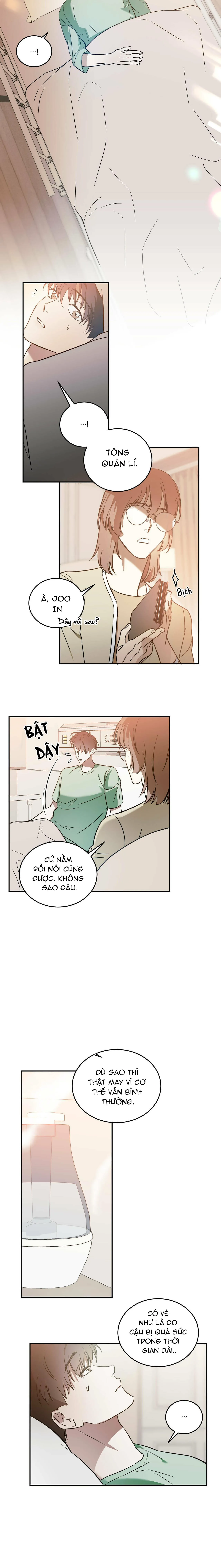 Cấp Trên Chapter 19 Trang 11