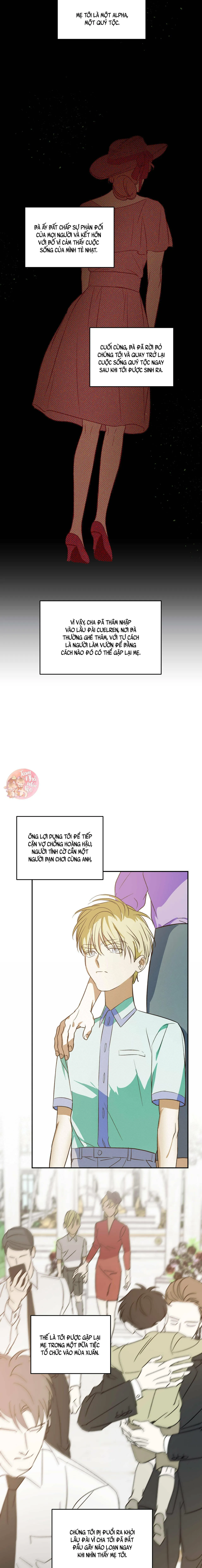 Cấp Trên Chapter 21 Trang 8