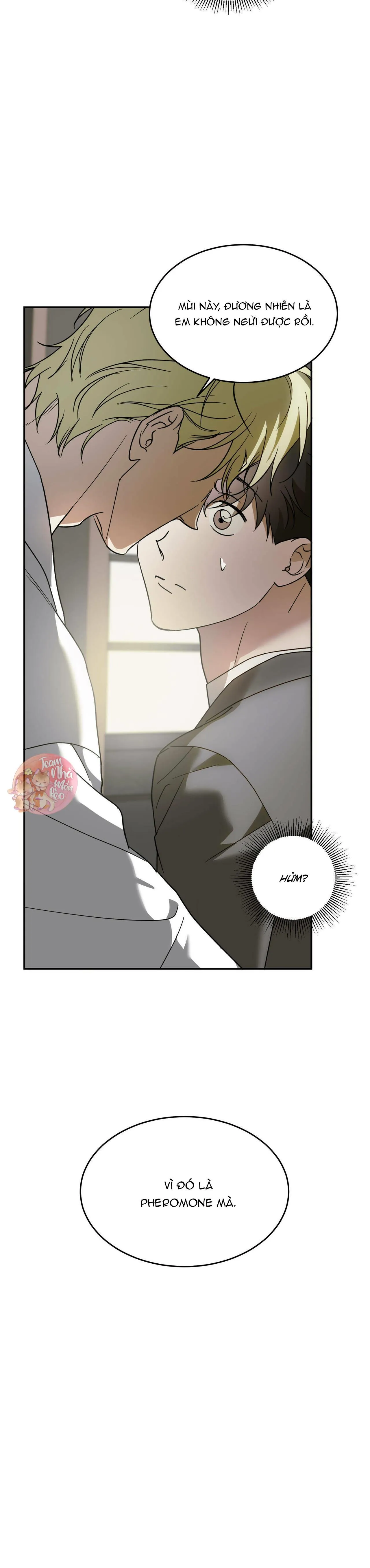 Cấp Trên Chapter 39 Trang 12