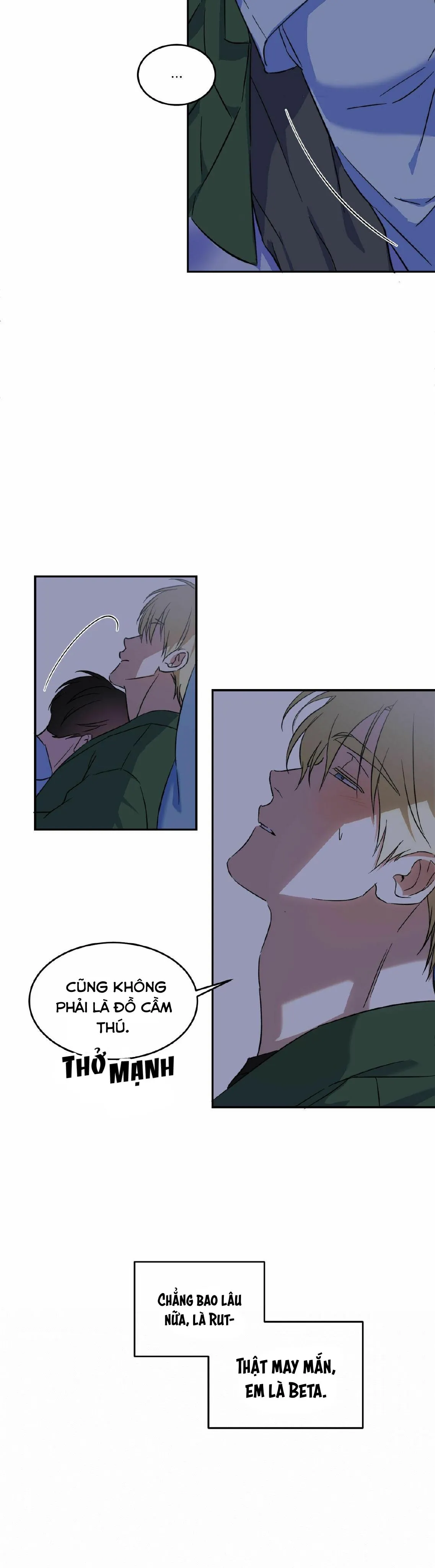 Cấp Trên Chapter 5 Trang 8