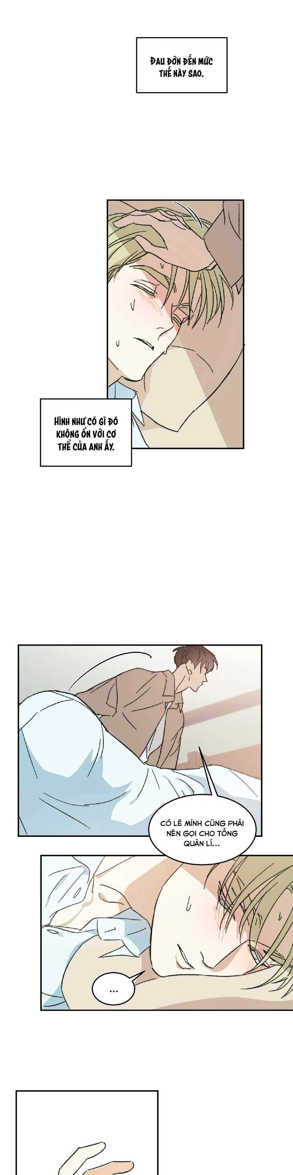 Cấp Trên Chapter 7 Trang 17