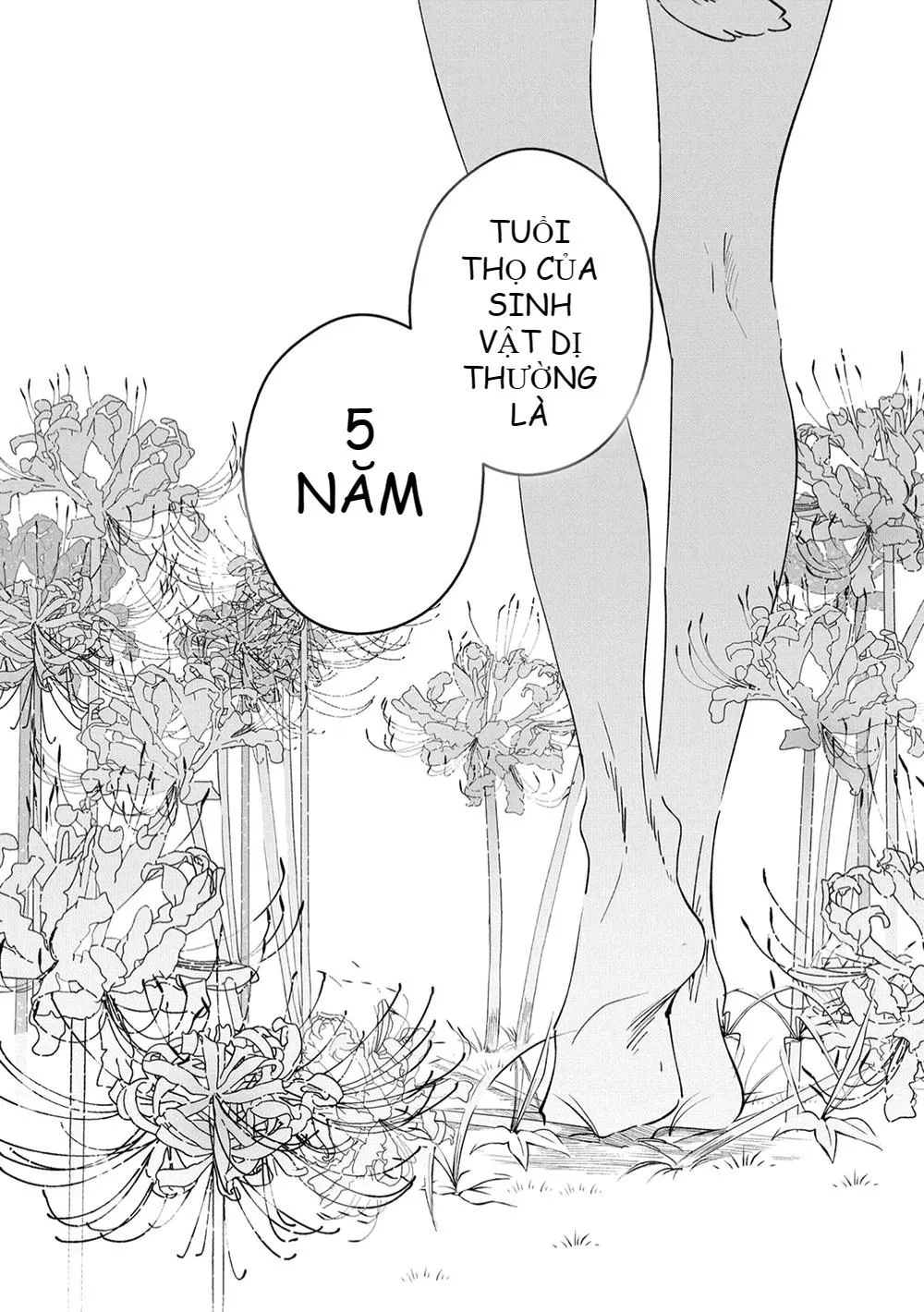 Castehate Chapter 13 Trang 19