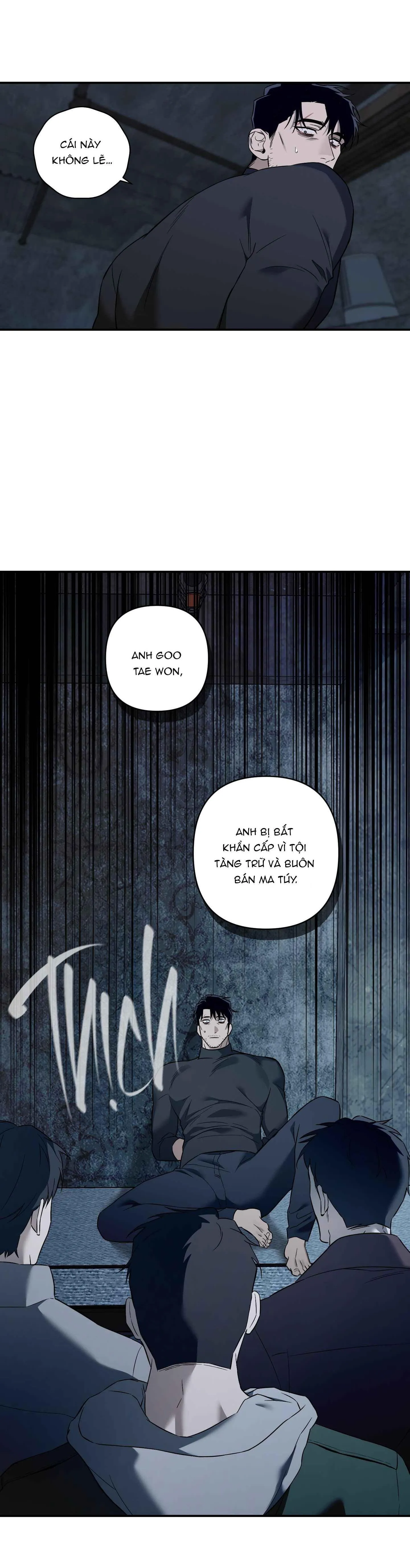 CÁT LÚN Chapter 8 Trang 11