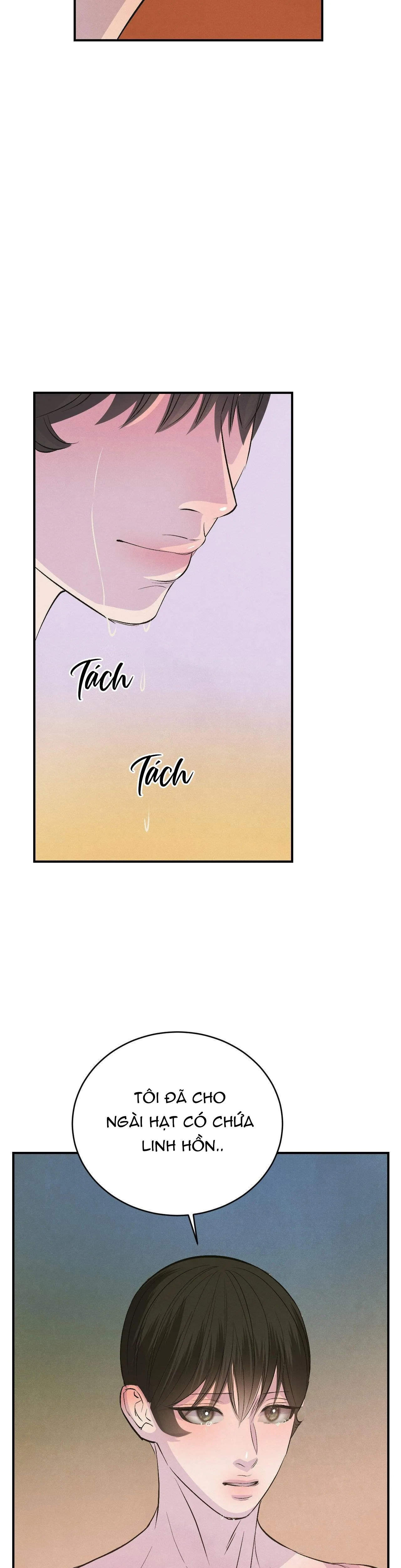 CẬU BÉ ĐÀO Chapter 13 Trang 37