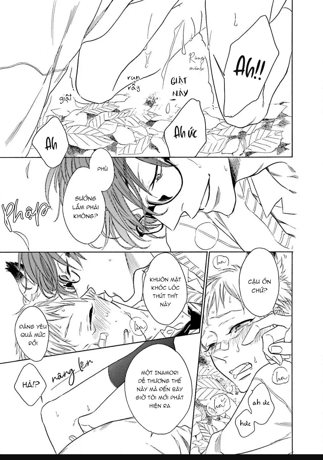 CẬU CÁO À, ĐỪNG QUYẾN RŨ TÔI NỮA Chapter 1 Trang 31