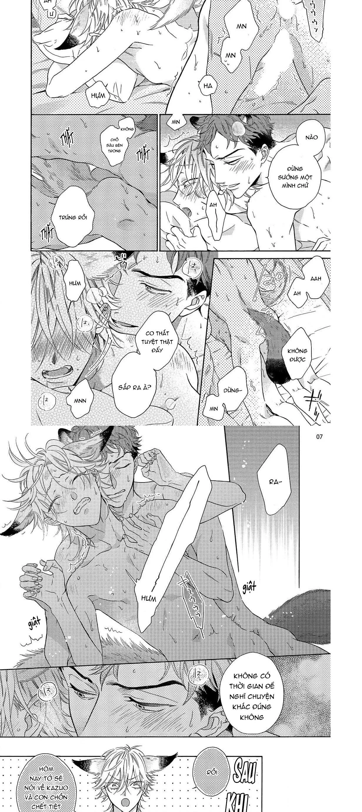 CẬU CÁO À, ĐỪNG QUYẾN RŨ TÔI NỮA Chapter 13 Trang 4