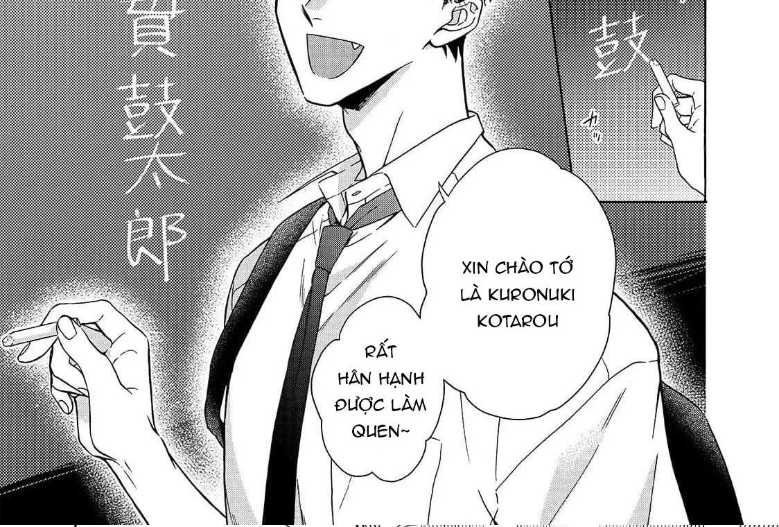 CẬU CÁO À, ĐỪNG QUYẾN RŨ TÔI NỮA Chapter 13 Trang 11