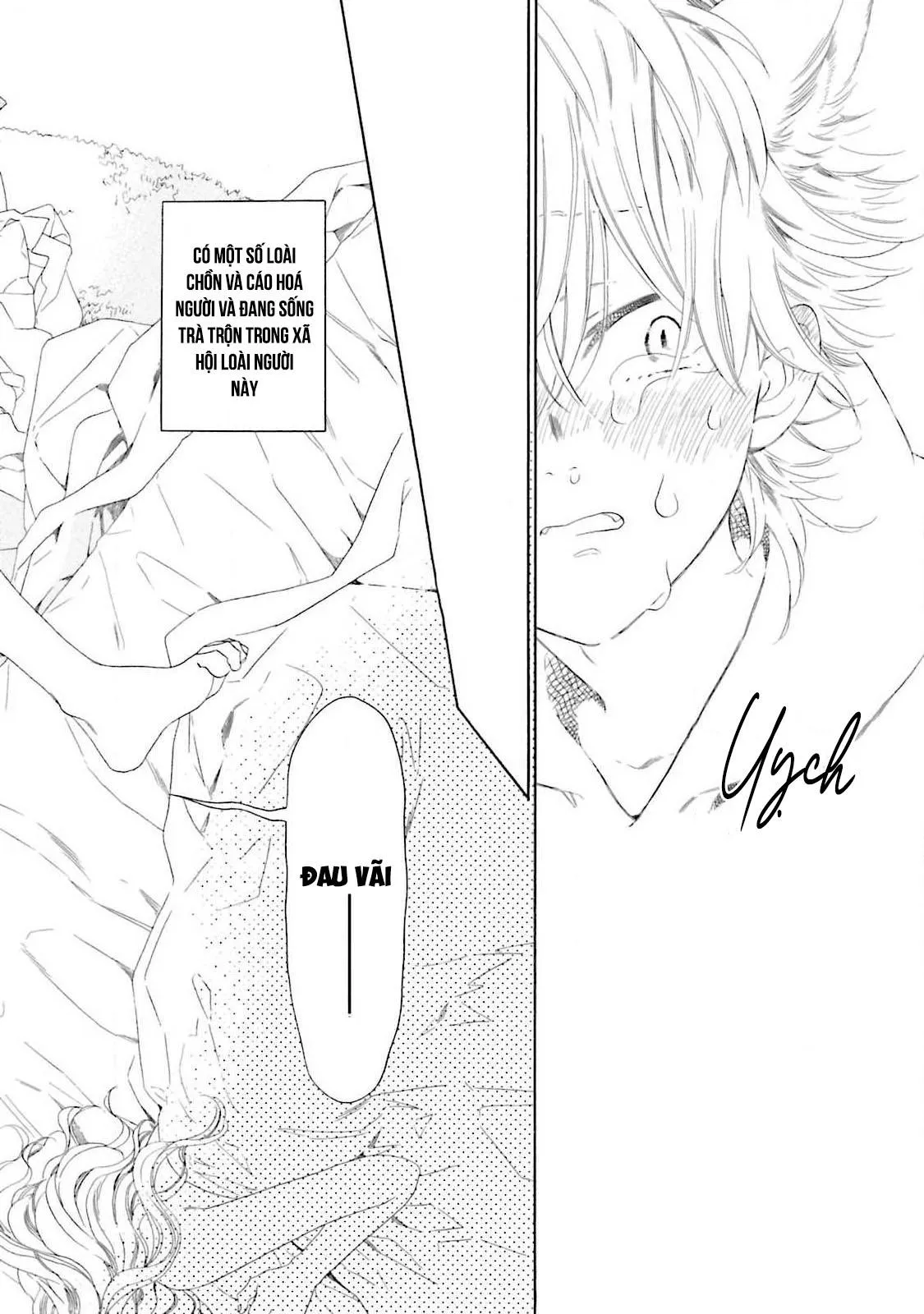 CẬU CÁO À, ĐỪNG QUYẾN RŨ TÔI NỮA Chapter 4 Trang 5