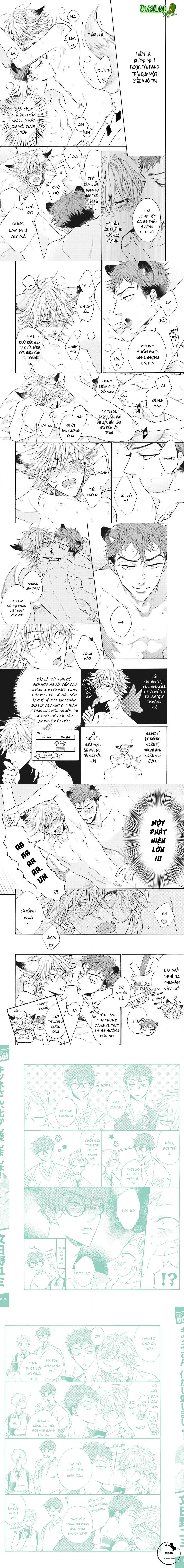 CẬU CÁO À, ĐỪNG QUYẾN RŨ TÔI NỮA Chapter 9 Trang 4