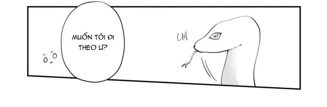 Câu chuyện theo đuổi của quỷ và rắn Chapter 3 Trang 14