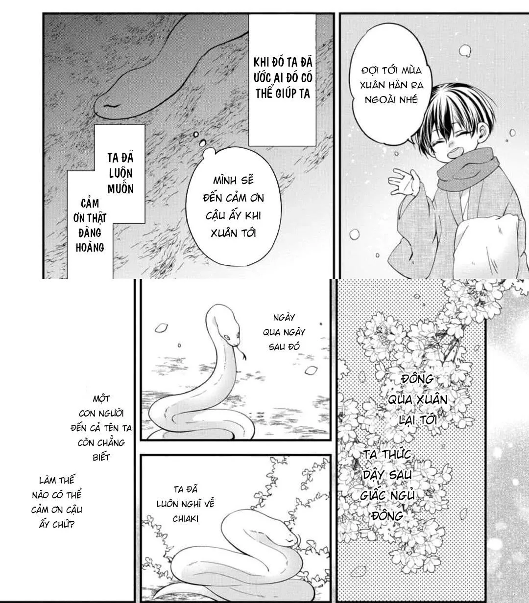 Câu chuyện theo đuổi của quỷ và rắn Chapter 3 Trang 24