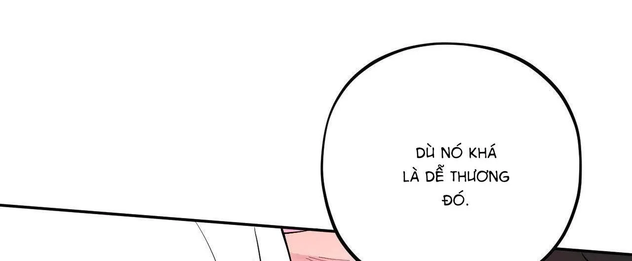 Cậu Có Thể Ngừng Thích Tôi Được Không? Chapter 5 Trang 24