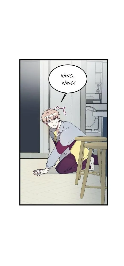 Cậu đúng là đồ ngốc Chapter 2 Trang 4