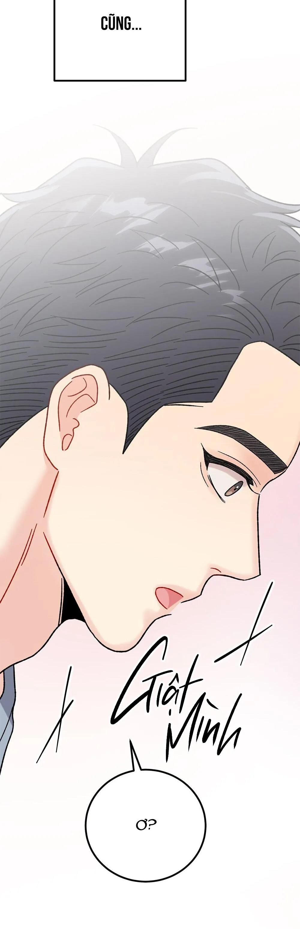 CẬU KHÔNG PHẢI LÀ GU CỦA TÔI Chapter 17 Trang 29